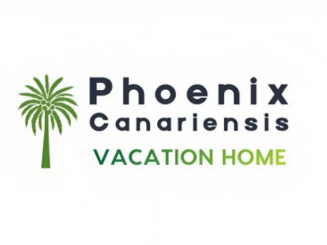 Phoenix Canariensis Appartement