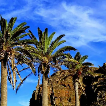 Phoenix Canariensis San Juan de la Rambla Extérieur photo