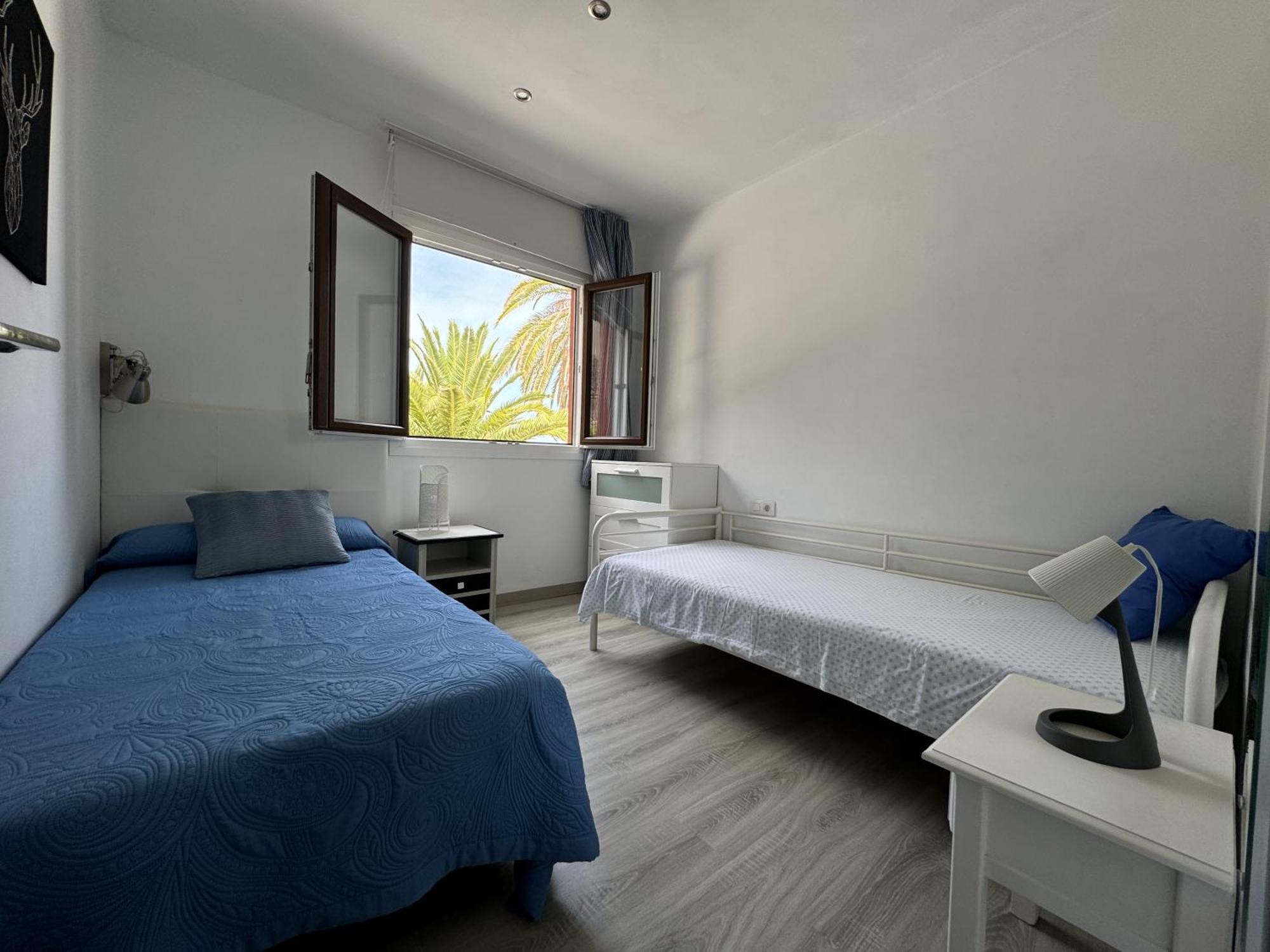 Phoenix Canariensis Appartement *