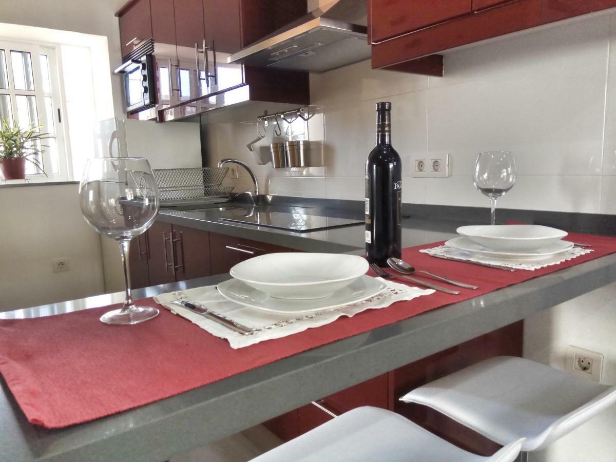 Phoenix Canariensis Appartement