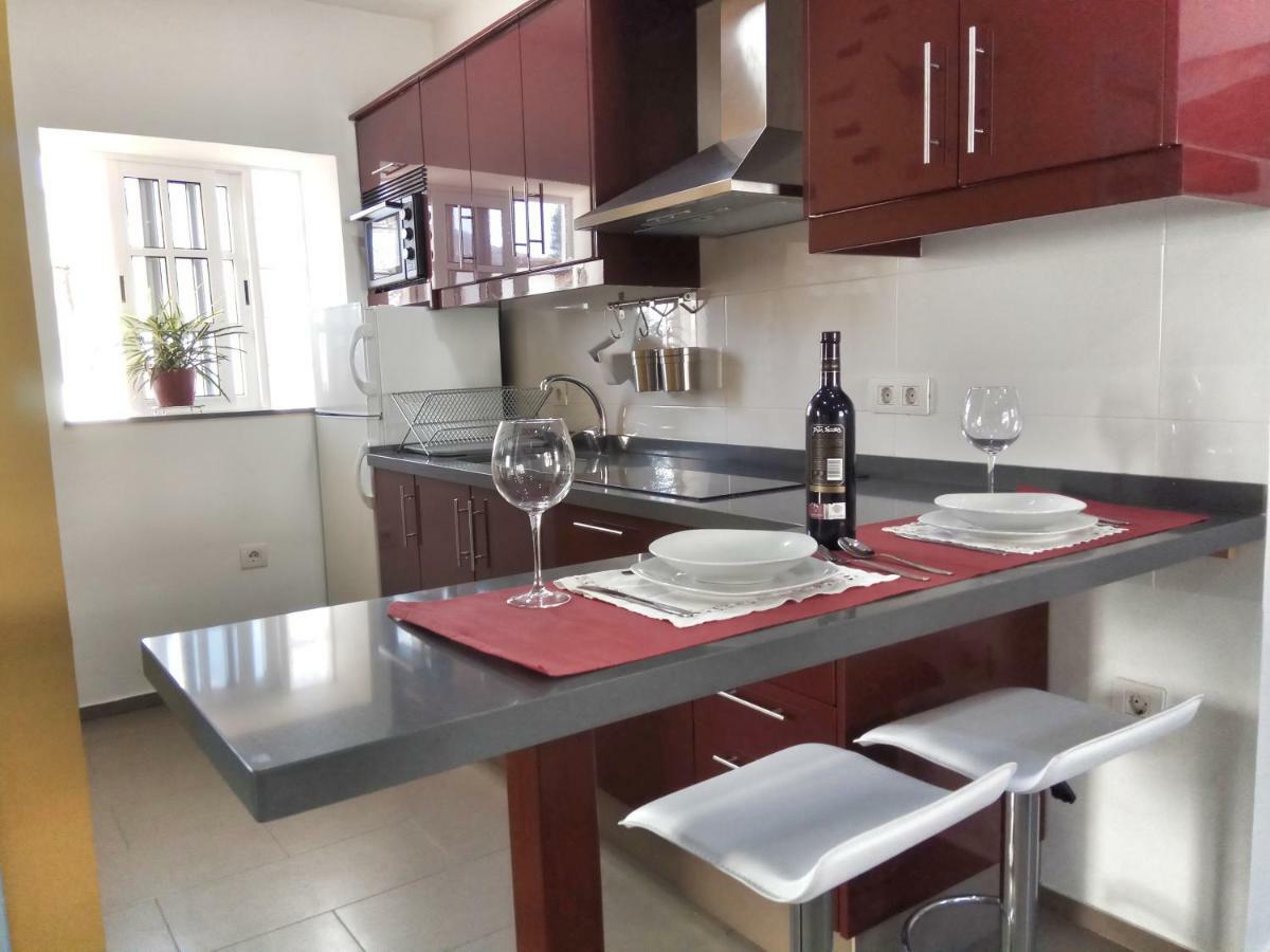 Phoenix Canariensis Appartement