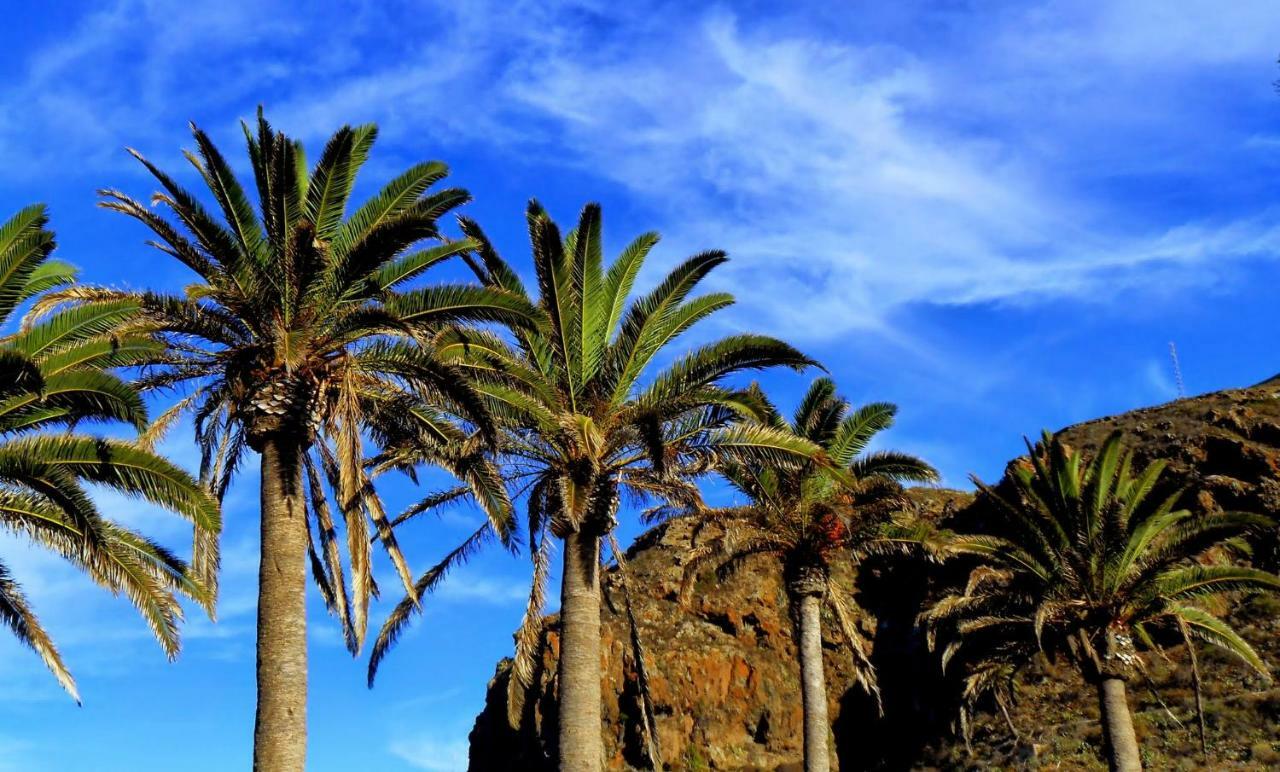Appartement Phoenix Canariensis San Juan de la Rambla